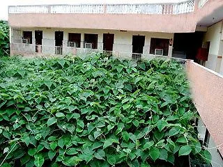 Hotel Sidhartha Walking Distance From Tajmahal Agra  2*, Agra (Uttar Pradesh) Ινδία